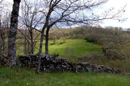 Casa Da Fonte De Travanca Travanca  Dış mekan fotoğraf